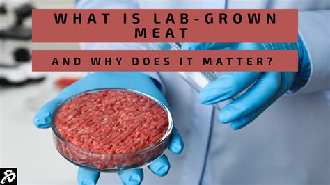 Why lab-grown meat is bad - Downsides of Lab-Grown Meat . The biggest hurdle to the widespread acceptance of lab-grown meat is its cost. Several years ago, a scientist produced a burger made entirely from lab-grown meat, at a cost of over $300,000. While the expenses have come down since then, a pound of lab-grown meat in 2019 was priced at about $100.